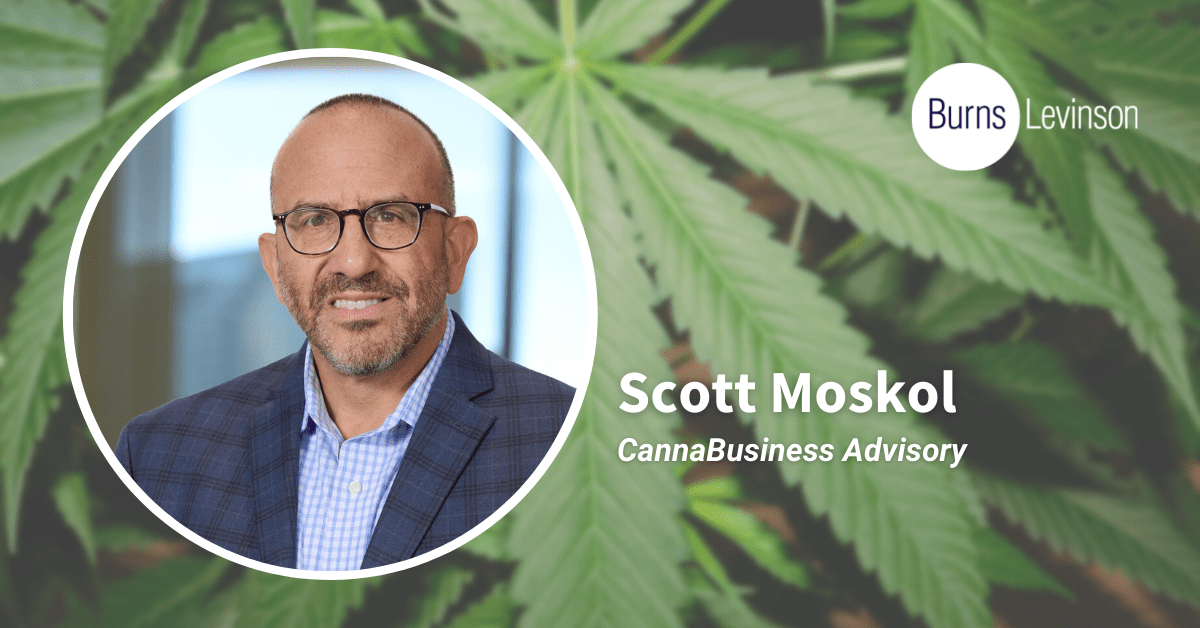 Scott Moskol, Burns & Levinson Cannabis Advisory Group