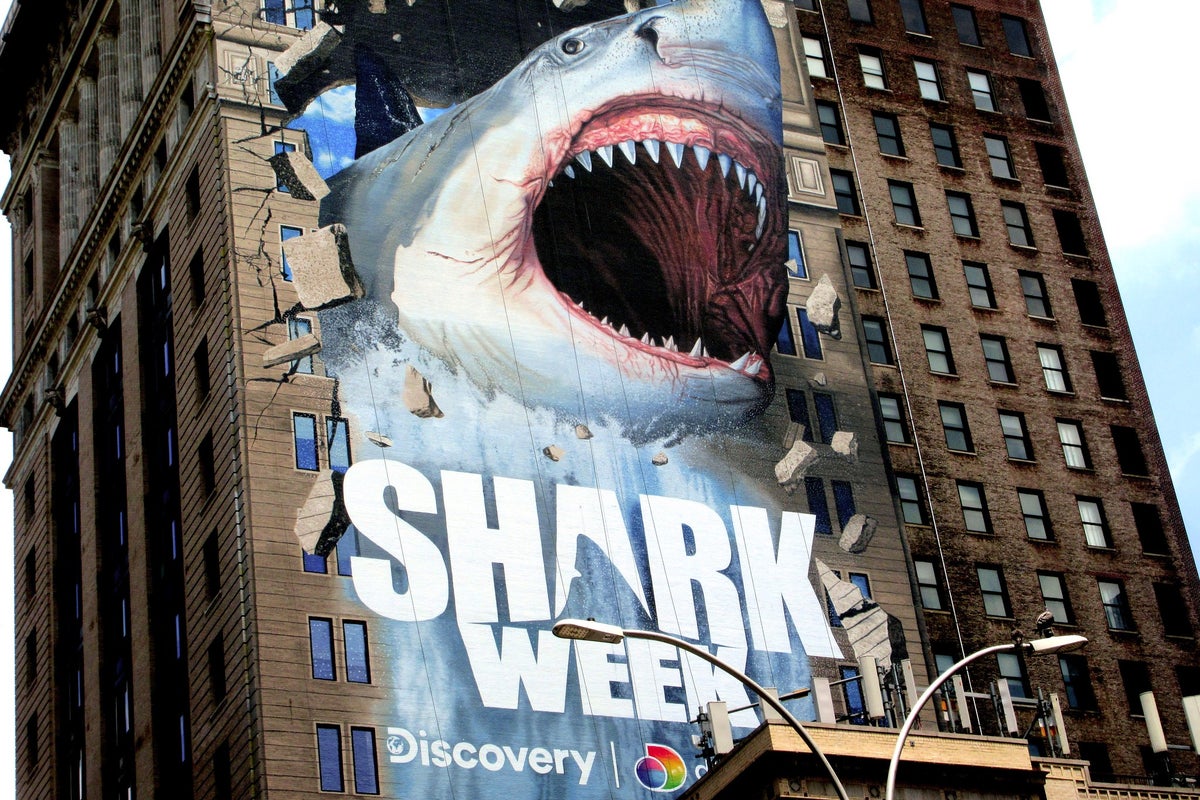 'Jaws' Returns To Long Island! Great White Shark Sightings — Just In Time For 'Shark Week'