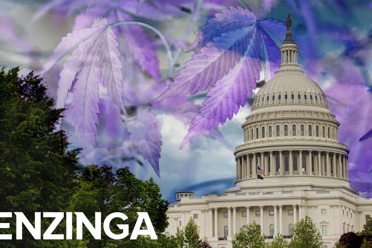 Congress: Two New Bills Would Pressure The DEA To Allow Patient Access To Psychedelics And Marijuana