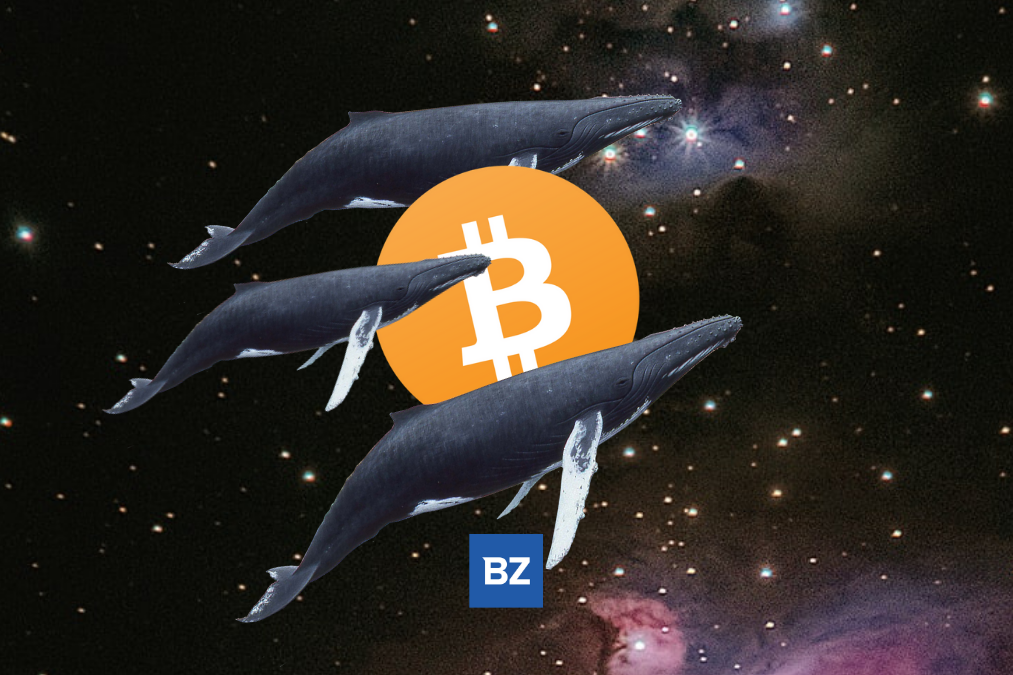 Bitcoin Whale Moves 3,374 BTC Off Coinbase