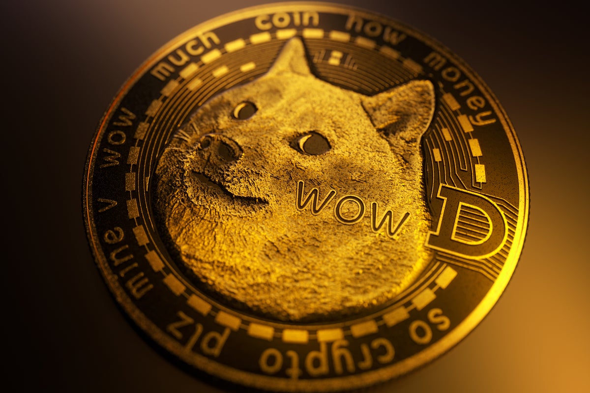 Unusual DOGE Transactions Leads To Ponzi Scheme Discovery
