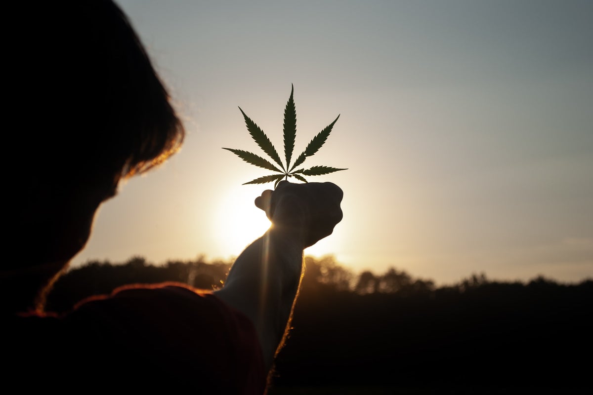 Missouri's Marijuana Legalization Measure Officially Approved For November Ballot