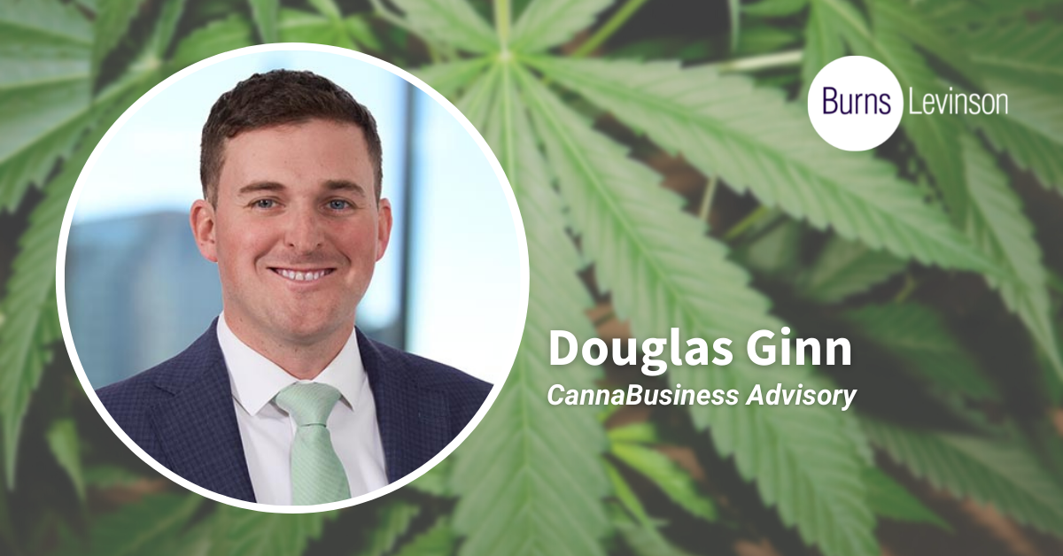 IDFPR Provides Key Guidance Regarding Management Service Agreements for Conditional License Holders in Illinois – cannabusiness advisory