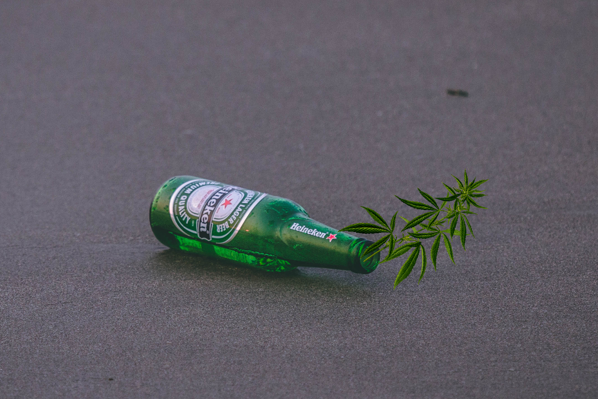 Video: Why Heineken Beer Smells Like Weed And Other Truths About Terpenes
