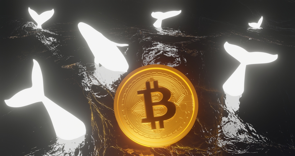 Have Bitcoin Whales Started Buying Again? – Blockchain News, Opinion, TV and Jobs