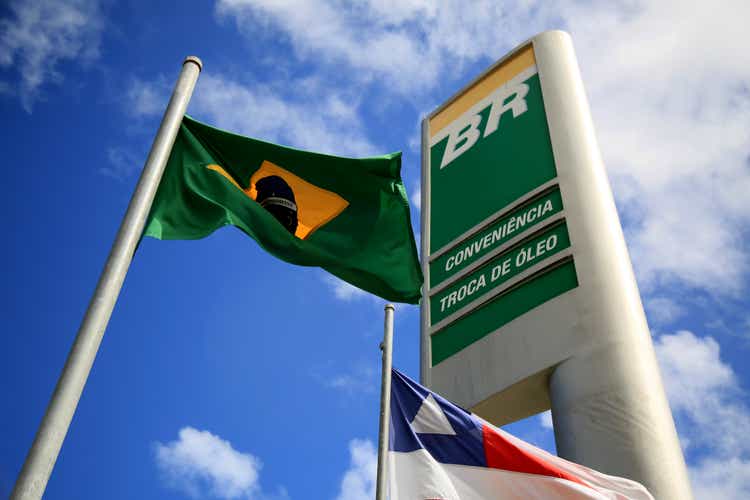 Petrobras puts Amazon potash mining rights up for sale (NYSE:PBR)