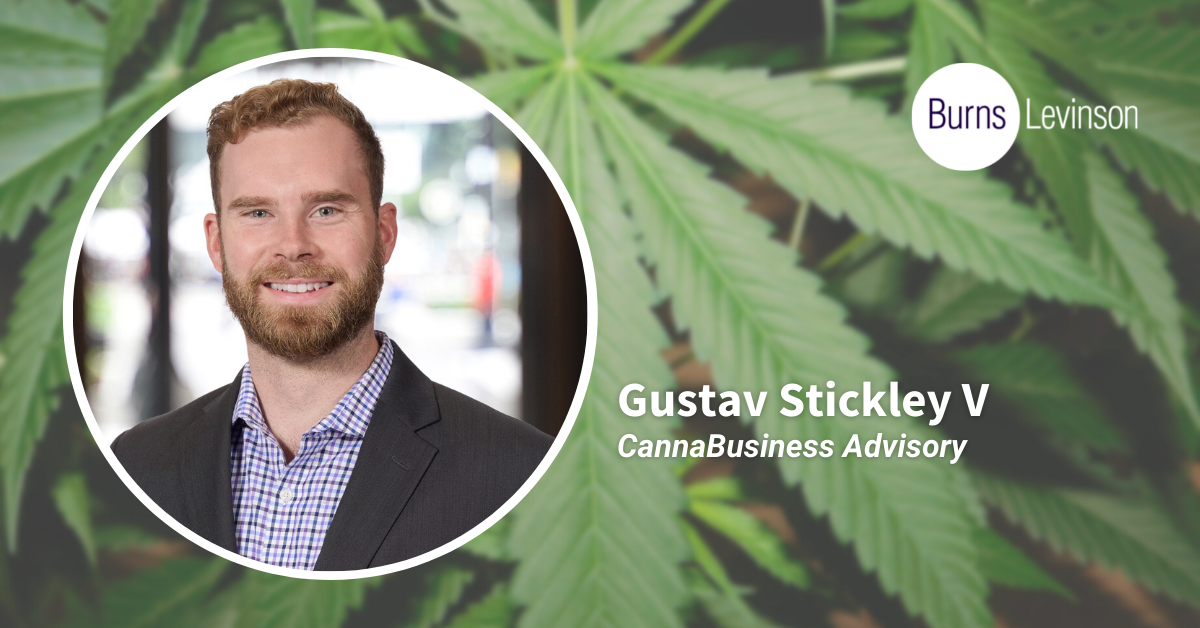 Establishing New Cannabis Markets – cannabusiness advisory