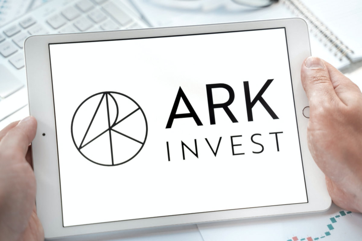 ARK Invest Short Sellers Have $2.3B In Profits So Far In 2022 - ARK Innovation ETF (ARCA:ARKK)