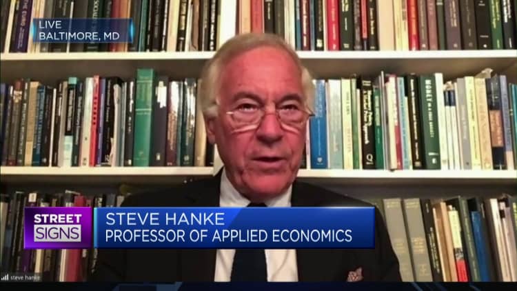 Steve Hanke says the Fed has been searching for the causes of inflation