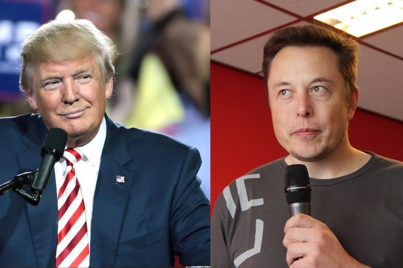 Elon Musk Asked That 'Trump' Be Added As Search Term For Identifying Spam Accounts And Bots: Report - Twitter (NYSE:TWTR)