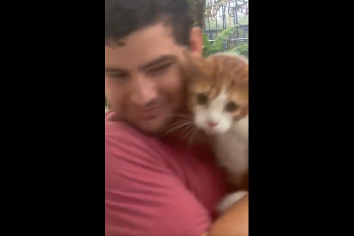 'Marry Him!' Video Of Florida Man Rescuing Stranded Cat In Hurricane Ian Goes Viral