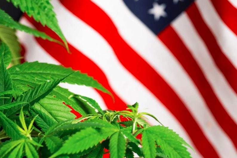 Where Is Cannabis Legalization Appearing On The Ballot In November? Here's What You Need To Know