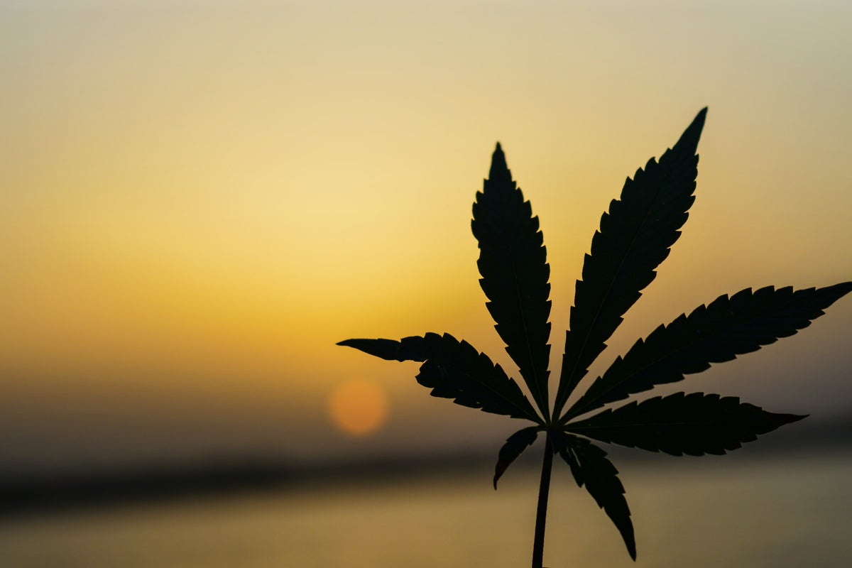 Cannabis Reg. Update: Malawi, Legalization In Costa Rica And Albania. New Zealand On Biden's Pardon