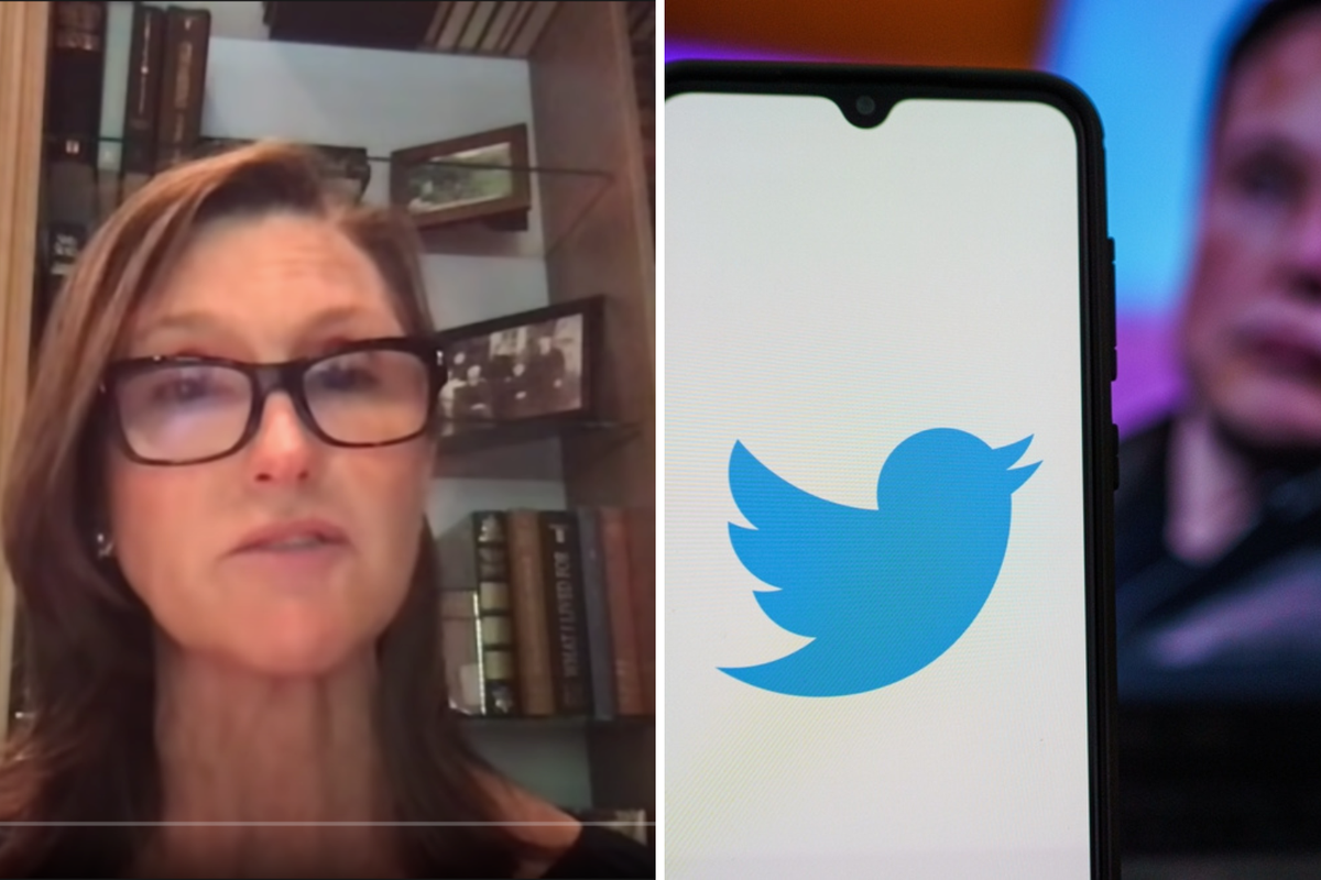 'I'm Kind Of Excited To See What Elon Will Do,' Says Cathie Wood About Supporting Musk's Twitter Purchase - Twitter (NYSE:TWTR)