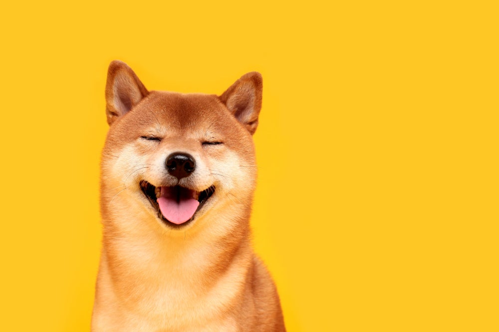 Dogecoin Layer 2 Crypto Dogechain (DC) Shoots Up 257% In A Week - Dogecoin (DOGE/USD)