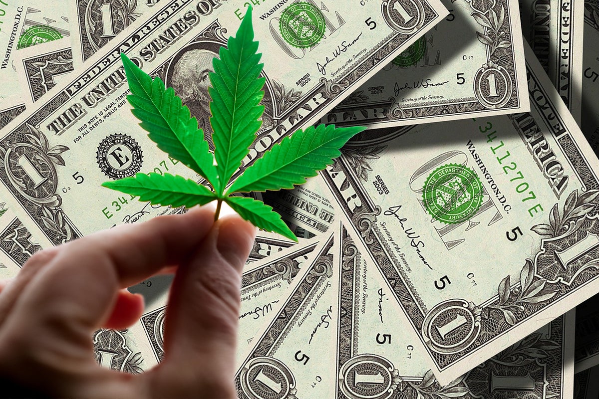 What's In The Cards For These Cannabis MSOs In Q3? Analyst's Thoughts Ahead Of Earnings Season - Curaleaf Holdings (OTC:CURLF), Trulieve Cannabis (OTC:TCNNF), Green Thumb Industries (OTC:GTBIF), TerrAscend (OTC:TRSSF)