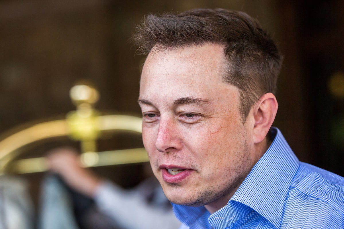 Elon Musk Sees 'Room For Improvement' In Twitter's Brain Hive: 'A Neuron Doesn't Realize It's A Neuron' - Tesla (NASDAQ:TSLA)