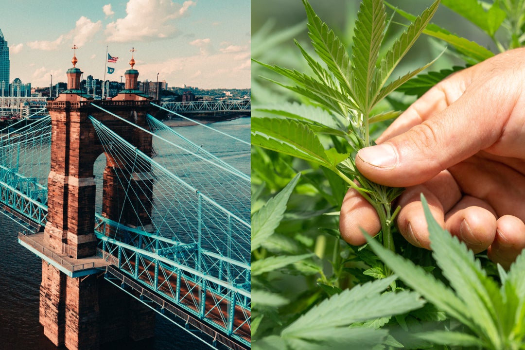 Five More Ohio Cities Decriminalize Cannabis Via Ballot Initiatives, Joining 20 Other Jurisdictions