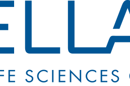 Why SELLAS Life Sciences (SLS) Shares Are Plunging Today - SELLAS Life Sciences Gr (NASDAQ:SLS)