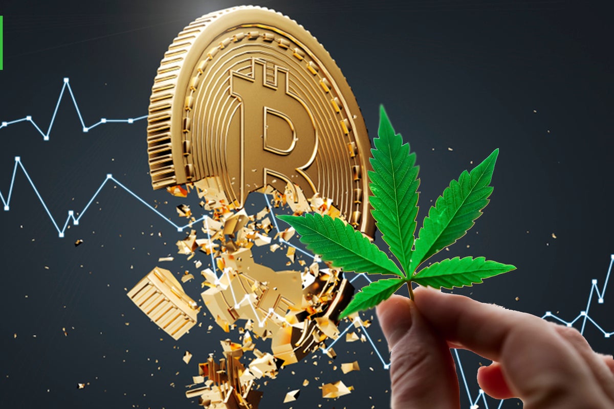 FTX Crypto Collapse And Bitcoin Bankruptcies Got You Down? Cannabis Can Help Anxiety, Say Studies - FTX Token (FTT/USD)