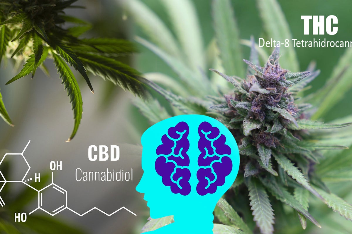 Study From King's College London Shows CBD Can't Reduce Negative Effects Of Cannabis, But It Can Make You Cough More