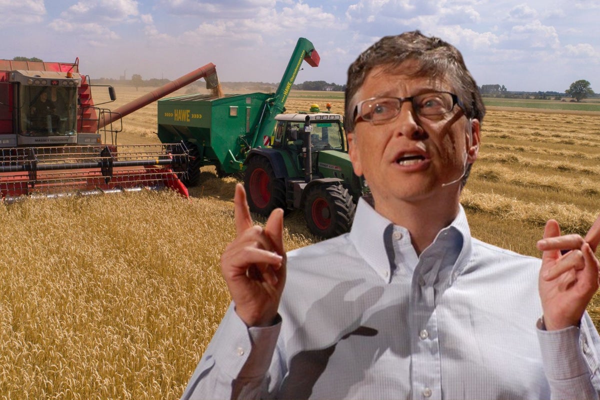 Bill Gates Says Every Piece Of Bread He's Ever Eaten Is From 'Genetically-Modified Wheat': Why He's Rooting For GMOs