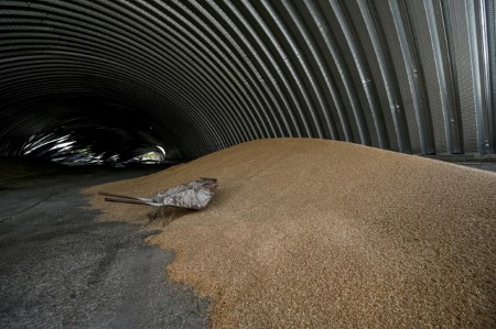GRAINS-Soybeans ease, but uncertainty over Brazilian supply limit losses