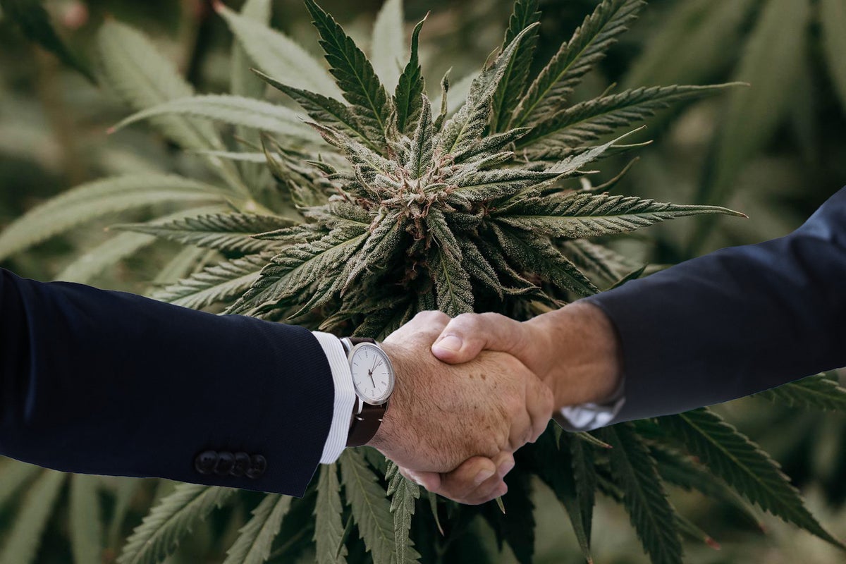 Key Marijuana Executive Changes As Year End Approaches: Meet Leadership Team Of New Hemp Organization & More - Anheuser-Busch InBev (NYSE:BUD), Charlottes Web Holdings (OTC:CWBHF)