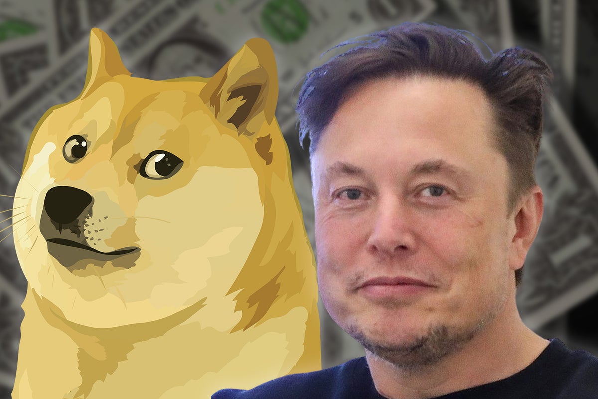 Much Wow! If You Invested $100 When Elon Musk First Tweeted About Dogecoin, Here's How Much You'd Have Now - Dogecoin (DOGE/USD)