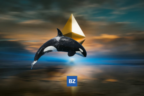 Crypto Whale Just Moved $36M Worth Of Ethereum (ETH) Off Bitfinex - Ethereum (ETH/USD)