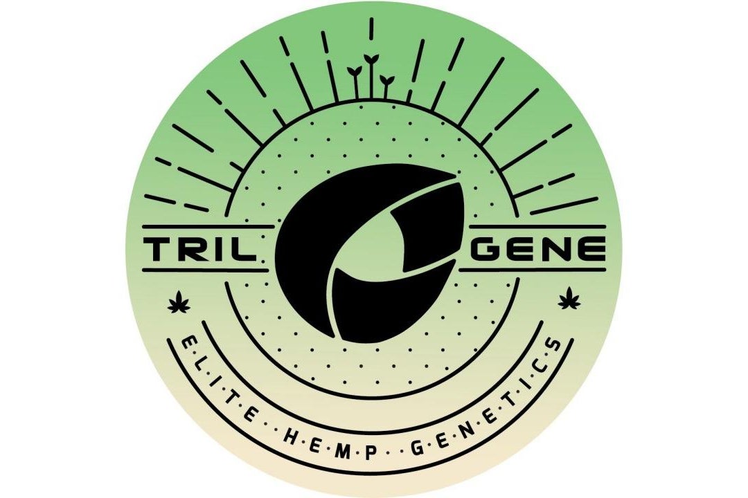 This Co. Is Accelerating Breeding For Cannabis Growing: Weed 'Should Be Treated As Corn Or Soybeans' In Terms Of Genetic Improvement