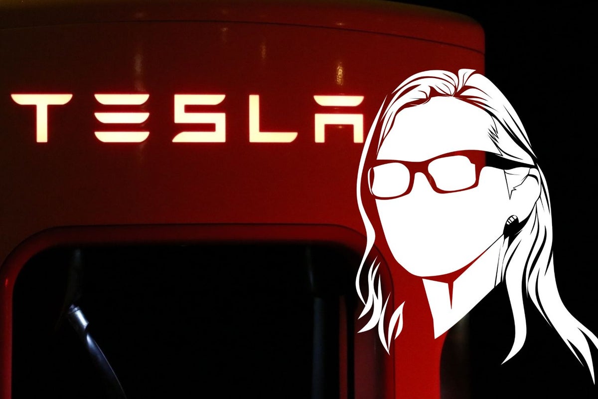 A $1,000 Invested In Tesla Now Will Fetch This Much If The Stock Hits Cathie Wood's Updated Price Target - Tesla (NASDAQ:TSLA)