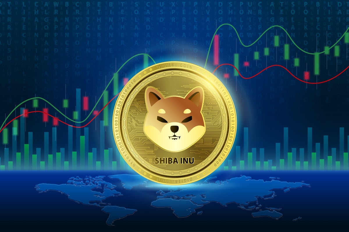 Shiba Inu Chews Away Bitcoin, Ethereum's Bones With 6% Surge - SHIBA INU (SHIB/USD)