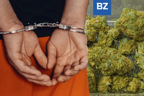 New Report Examines Sentencing Trends For 'Simple Possession Of Marijuana' Offenses