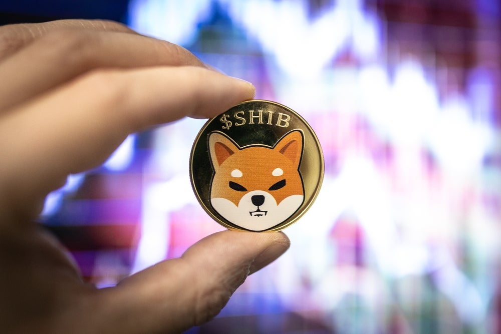 Shiba Inu (SHIB) Outshines Dogecoin (DOGE) With 5% Surge - SHIBA INU (SHIB/USD)